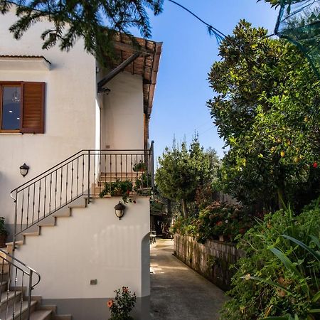 Mediterranean House Σορέντο Εξωτερικό φωτογραφία