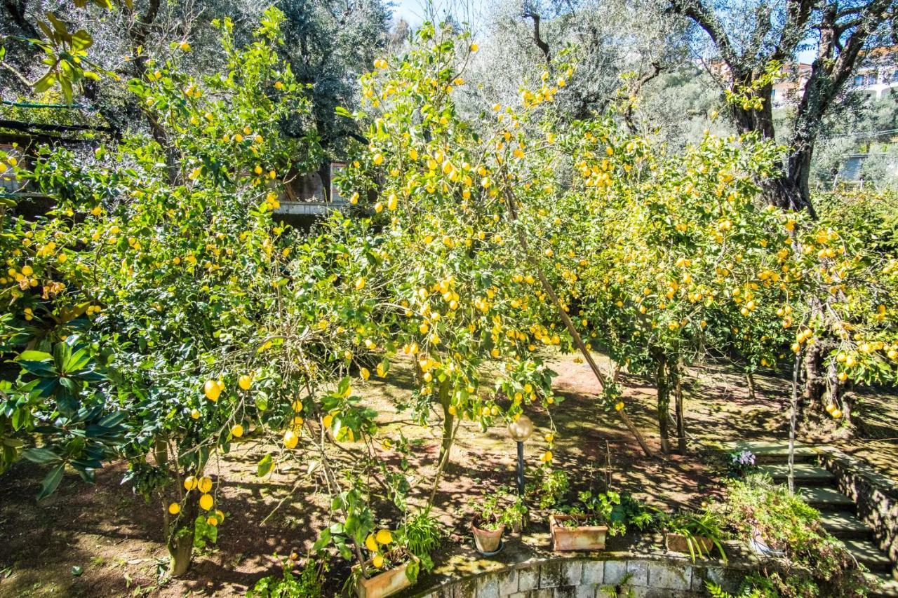 Mediterranean House Σορέντο Εξωτερικό φωτογραφία
