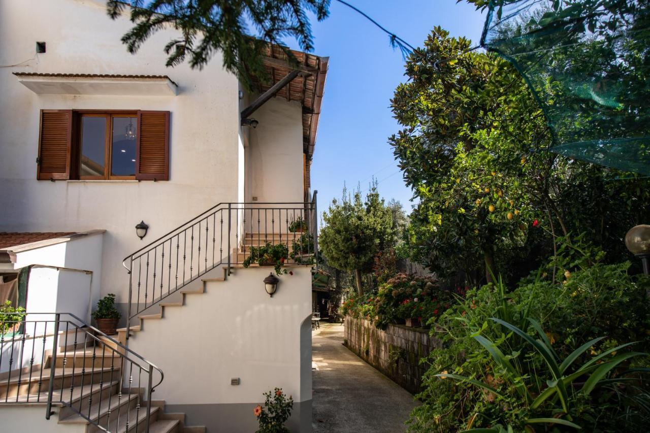 Mediterranean House Σορέντο Εξωτερικό φωτογραφία
